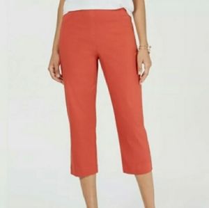 Style & Co Core Capri Large